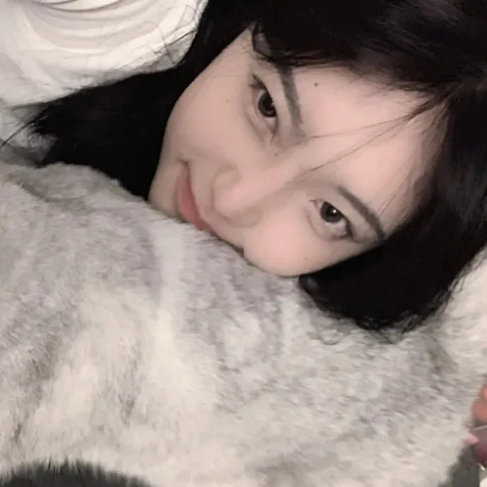 美女与猎犬